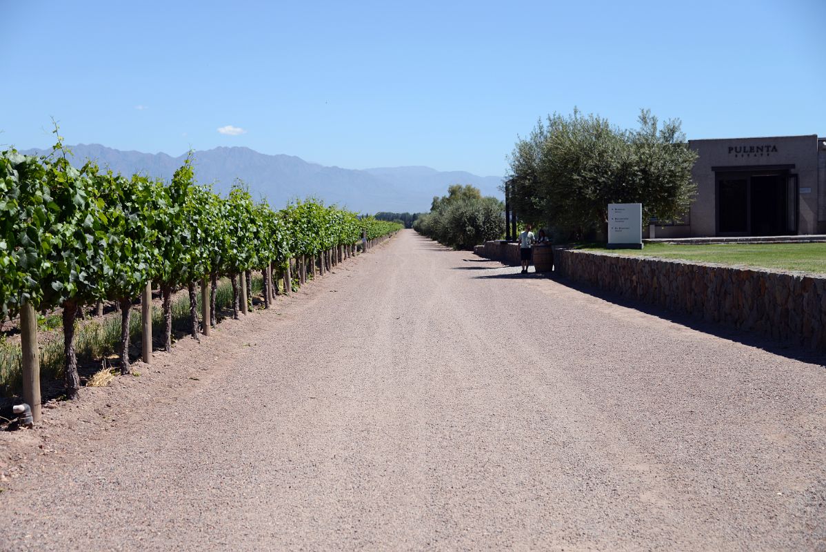 07-01 Pulenta Estate Winery Is The Second Winery On Our Lujan de Cuyo Tour Near Mendoza